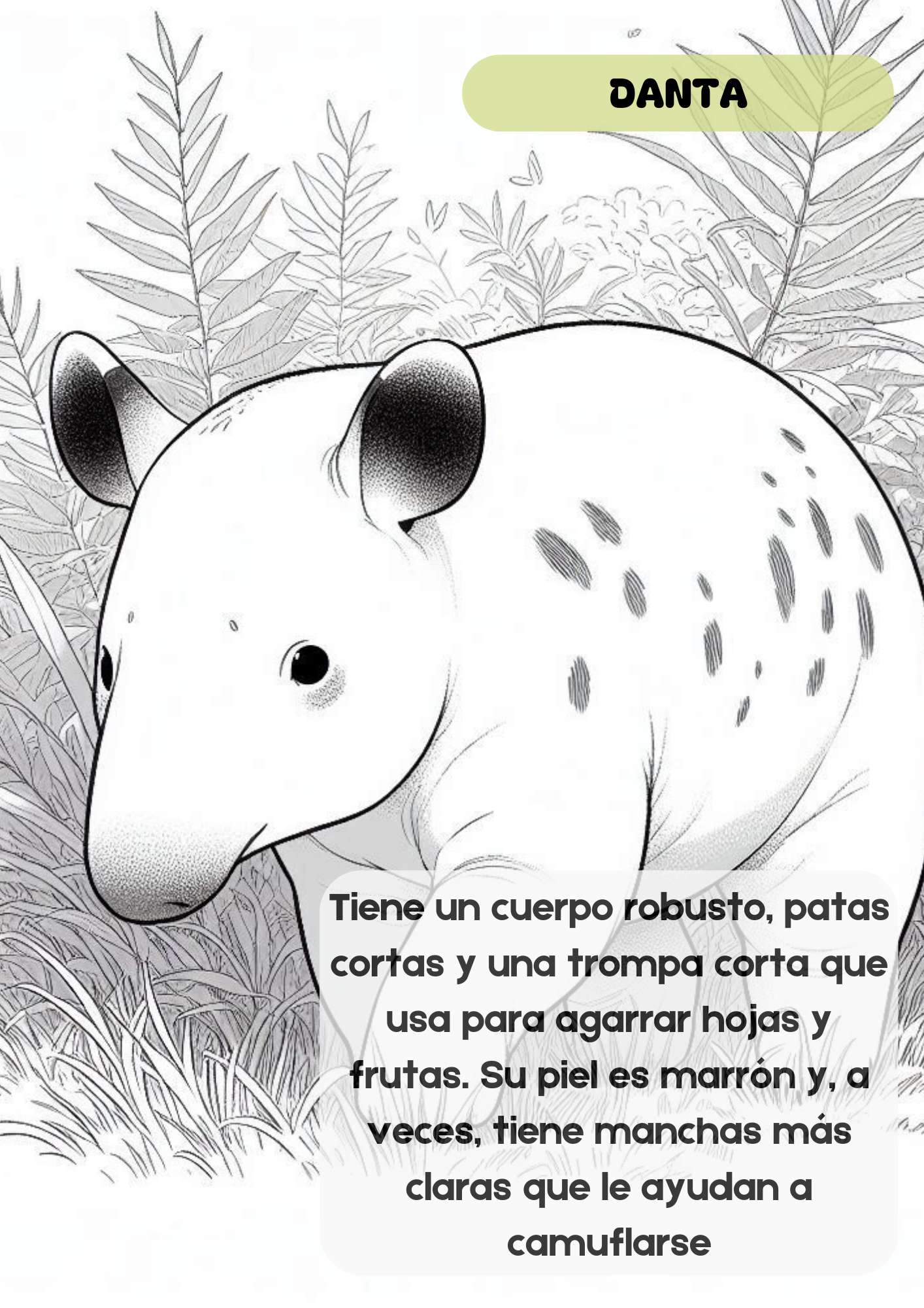 Coloring Book. Animales de Costa Rica.