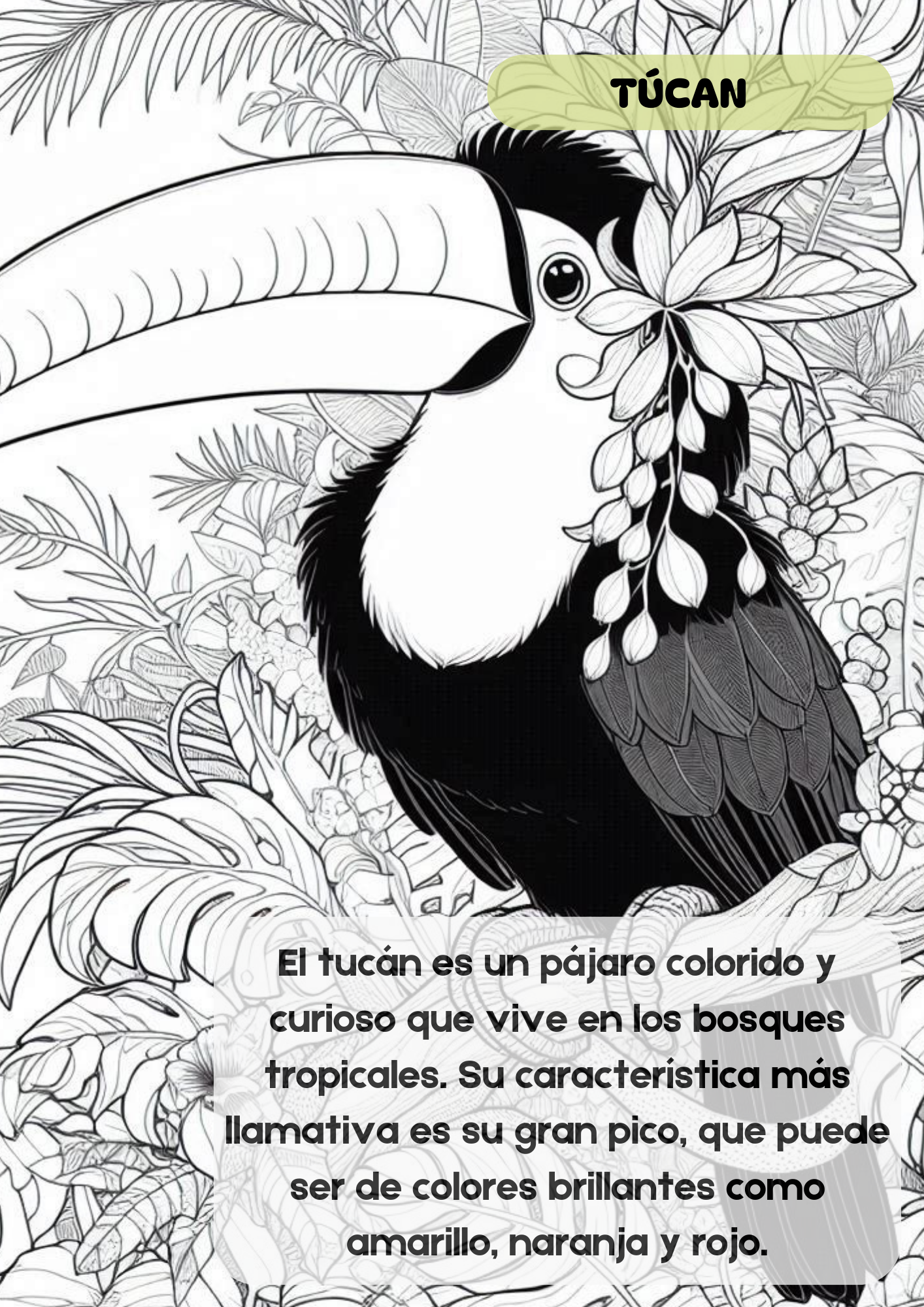 Coloring Book. Animales de Costa Rica.