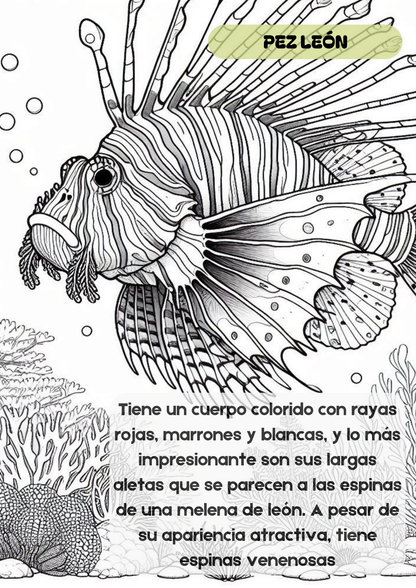 Coloring Book. Animales de Costa Rica.